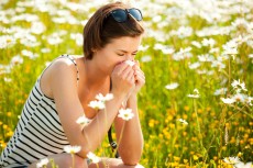 Relief from asthma, allergies and hay fever